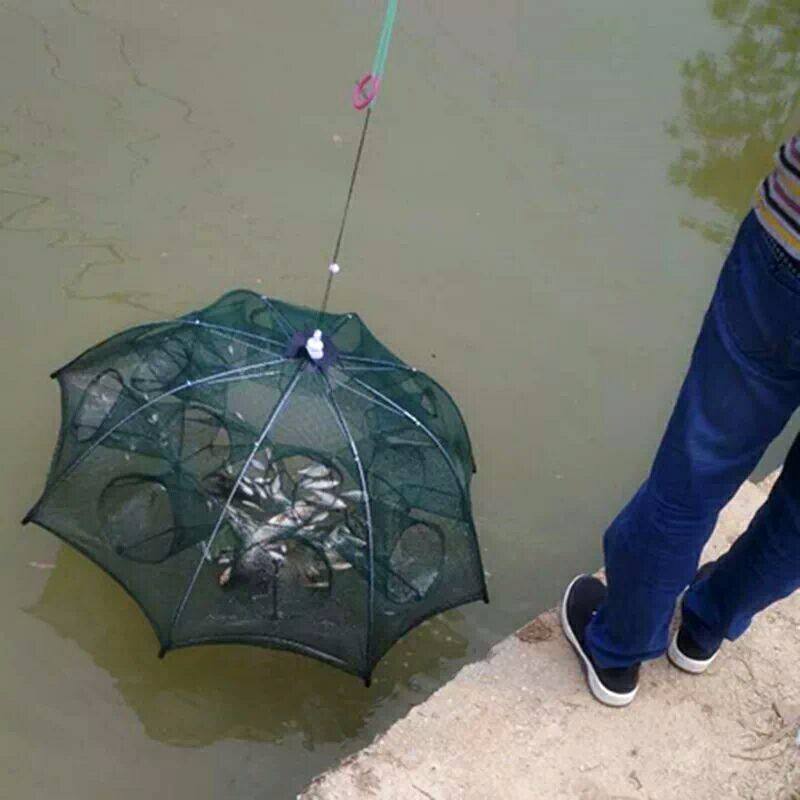 FishTrap - Portable Easy Setup Multi-Entry Foldable Fishing Net Trap ...